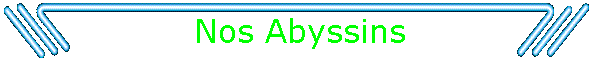 Nos Abyssins