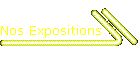 Nos Expositions
