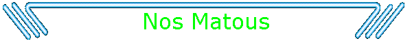 Nos Matous