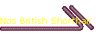 Nos British Shorthair